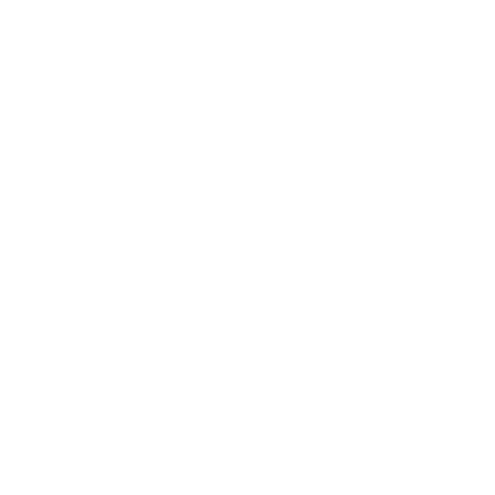 Business Tax Return